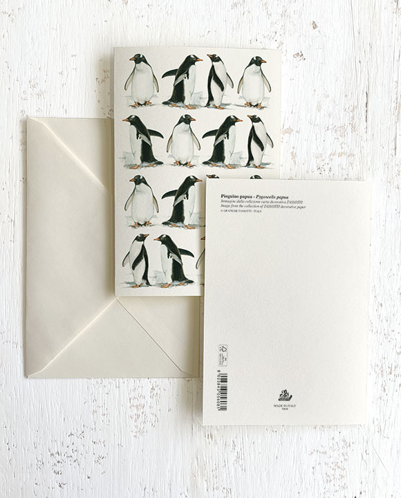 Card "Pinguini"