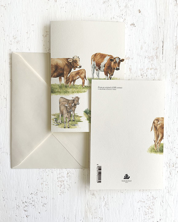 Card "Mucche"