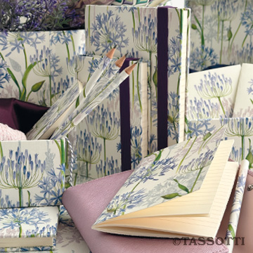 Tassotti - Tassotti Collection 2025