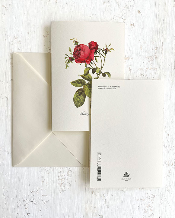 Card "Rosa pink perpétue"