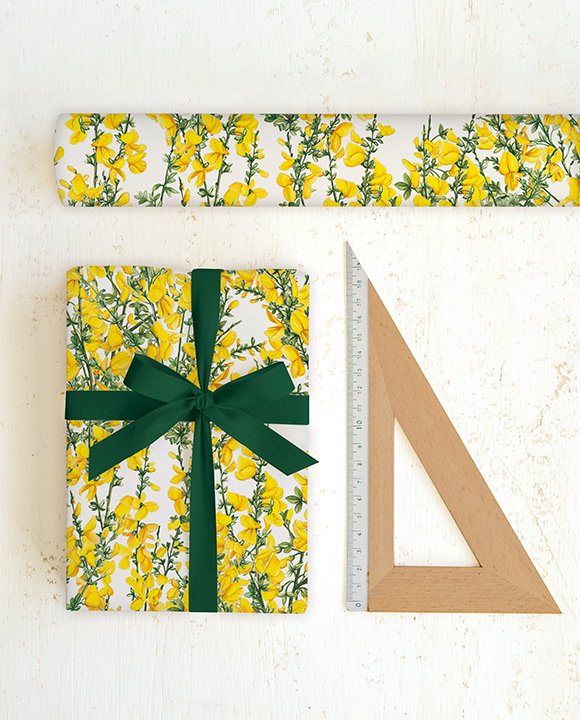 Papier "Ginestre"