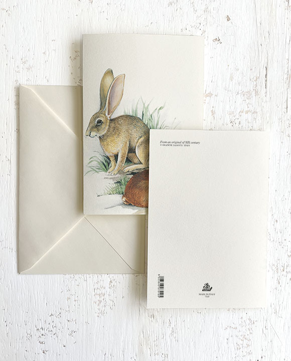 Card "Conigli"