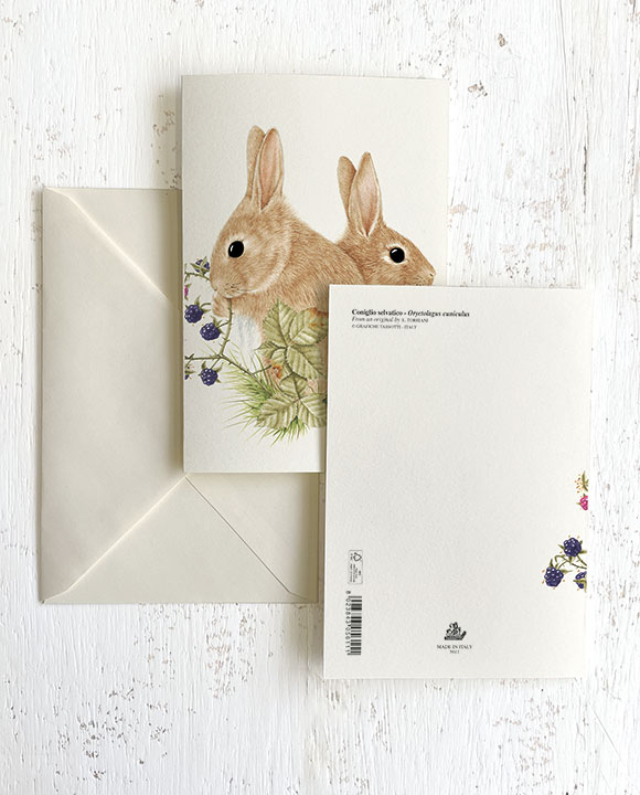Card "Coniglio selvatico"