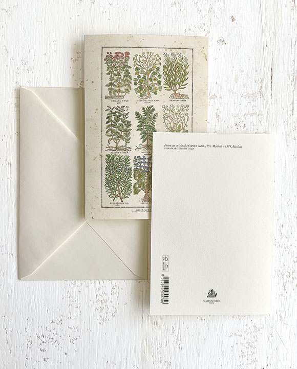 Card "Erbe da cucina"