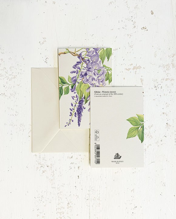 Card "Glicine"