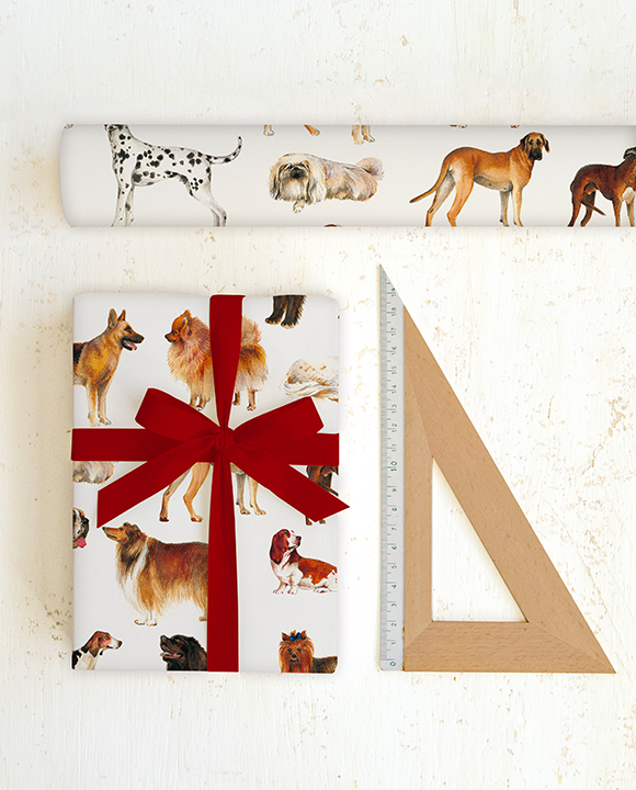 Paper "Cani"
