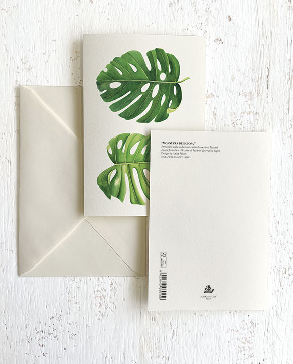 Card ﻿“Monstera Deliciosa”