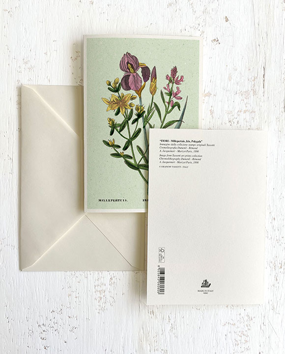 Card "Fiori - Millepertuis, Iris, Polygala"