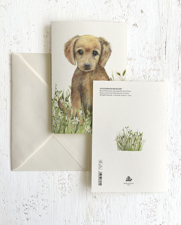 Card "Cucciolo di meticcio"