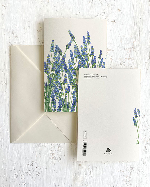 Card "Lavanda"