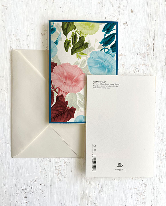 Card "Convolvolo"
