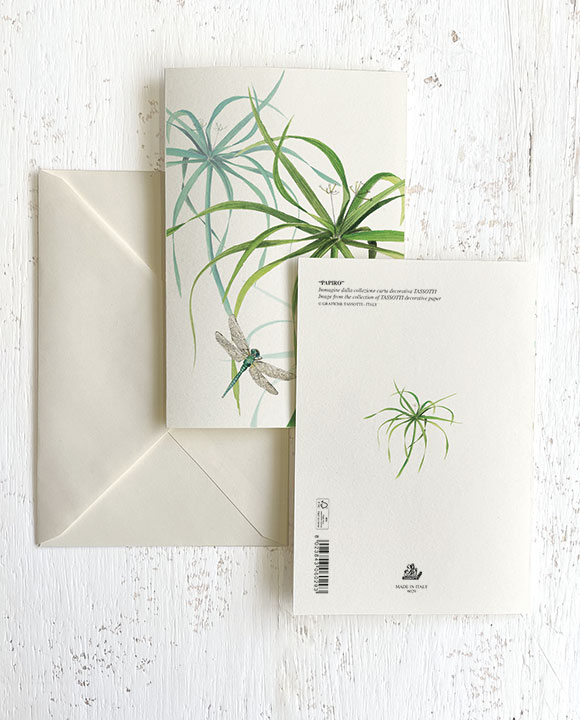 Carte "Papiro"