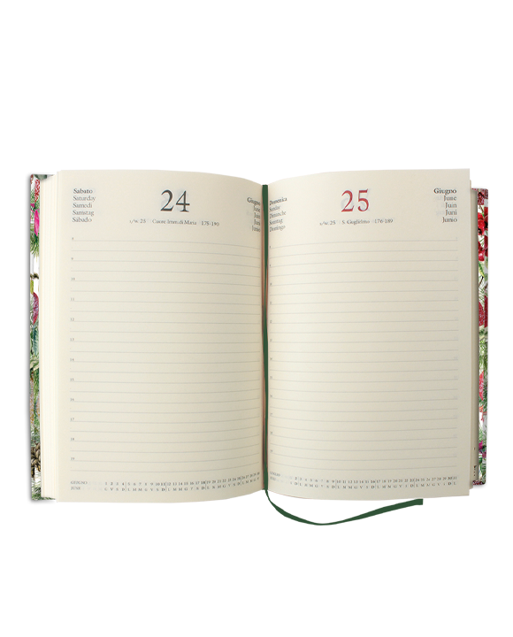 Daily diary large size "Marmorizzata rosa-rosso"