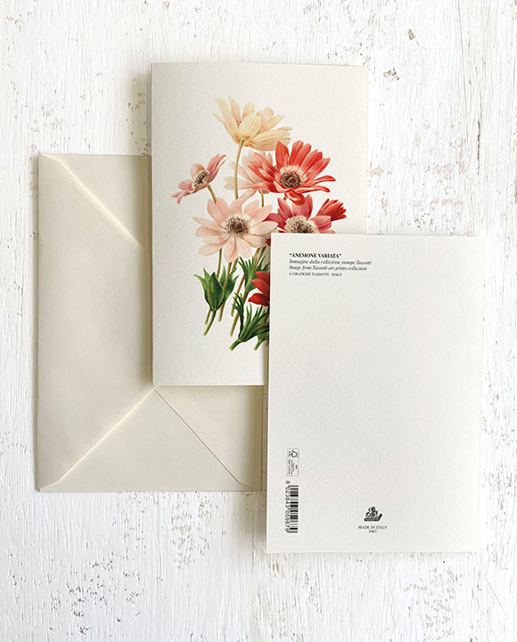 Card "Anemone Variata"