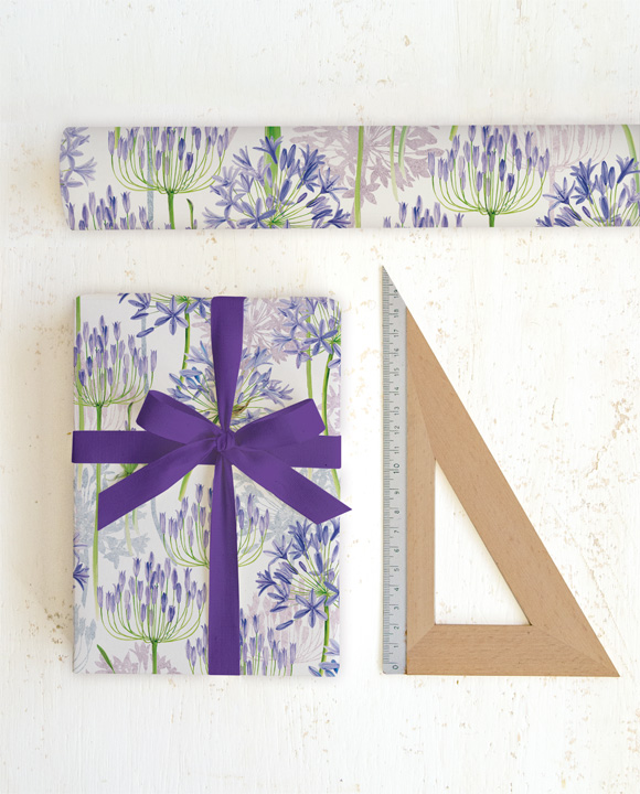 Agapanthus