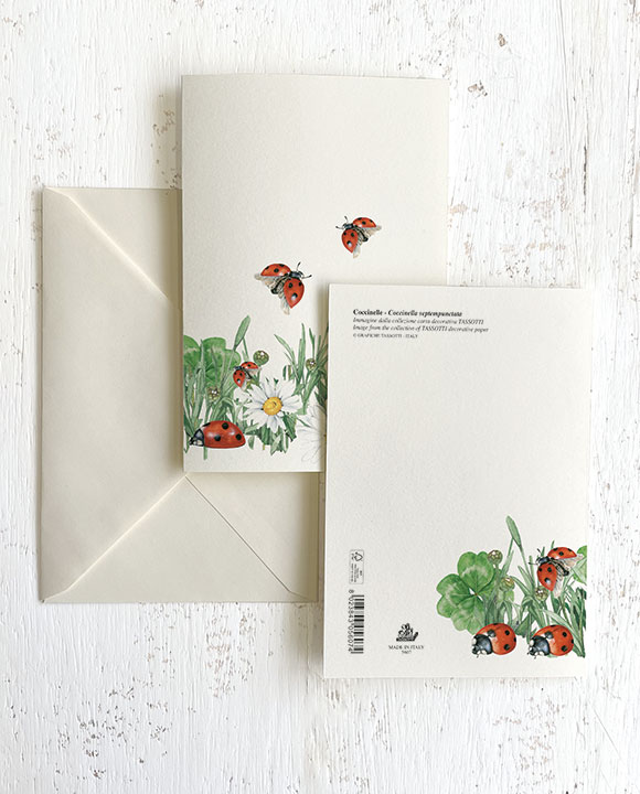 Coccinelle