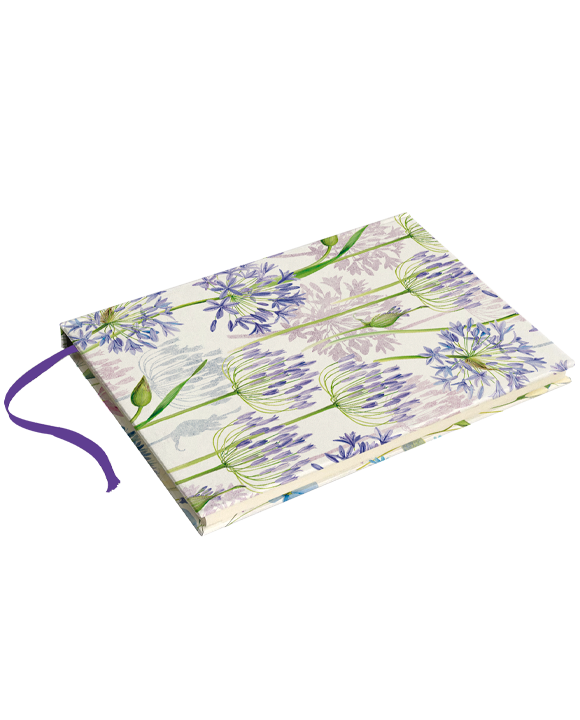 Livre "Agapanthus"