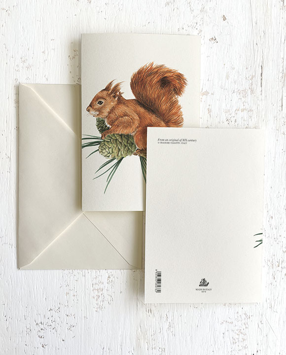 Card "Scoiattolo con pigna"