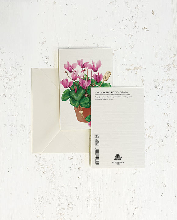Card "Ciclamino"