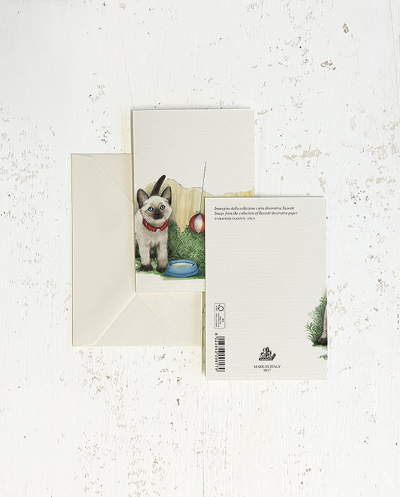 Card "Gattini"