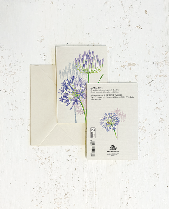Card "Agapanthus"