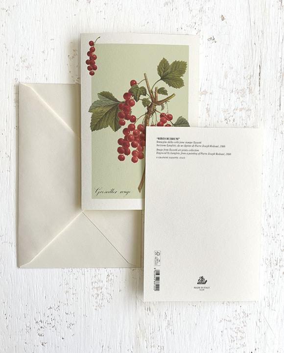 Card "Ribes rubrum"