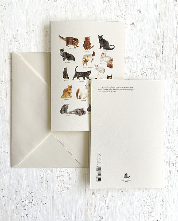 Card "Gatti"