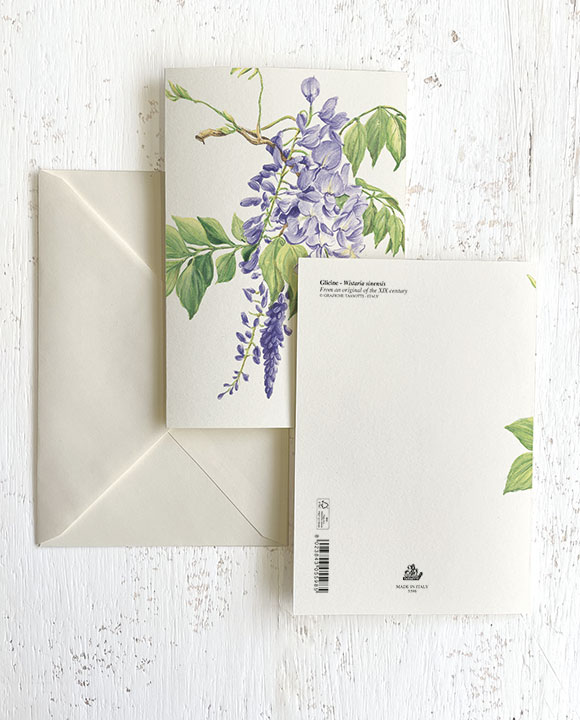 Card "Glicine"