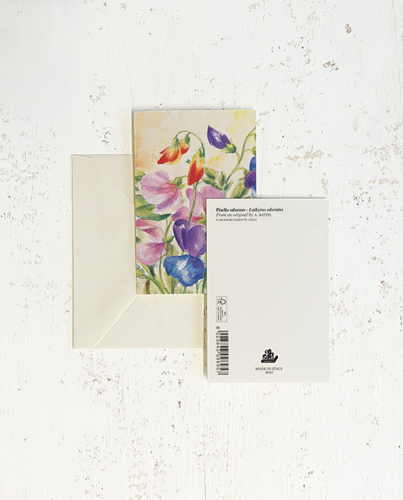 Card "Pisello odoroso"