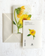 Karte "Two Sunflowers"