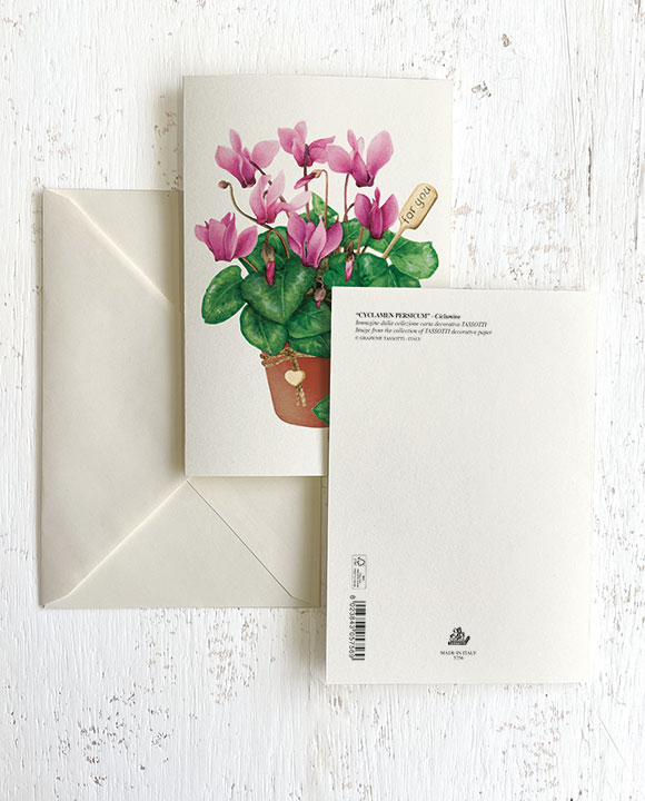 Card "Ciclamino"