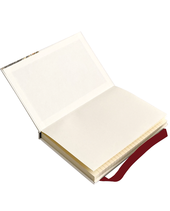 Diary "Venezia"