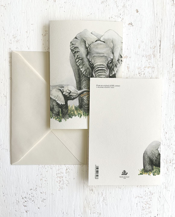Tarjeta "Elefante"