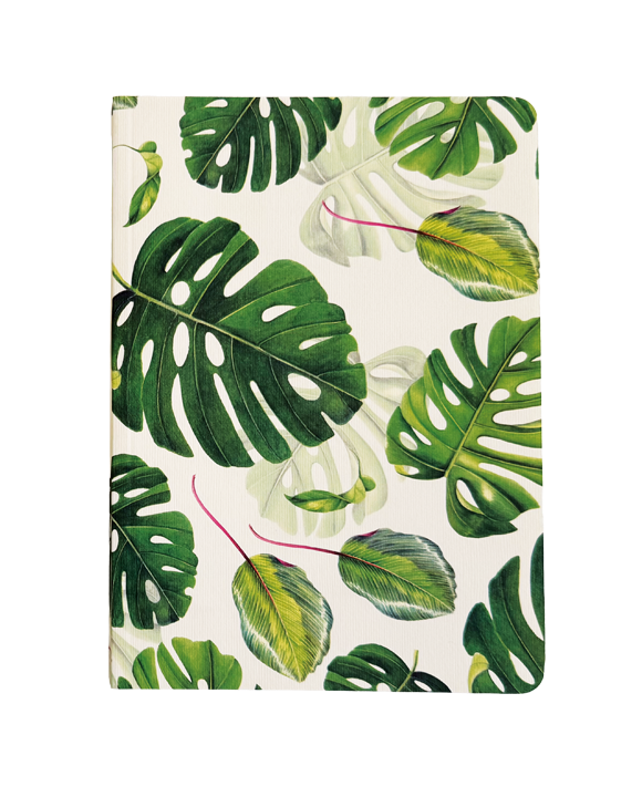 Set 2 Cuadernos de tapa blanca rayados "Fantasia 2"