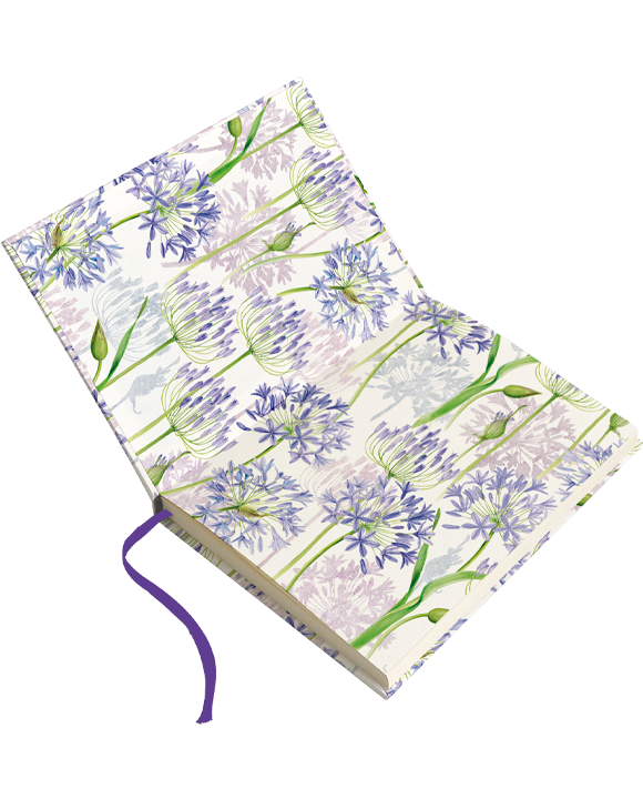 Livre "Agapanthus"