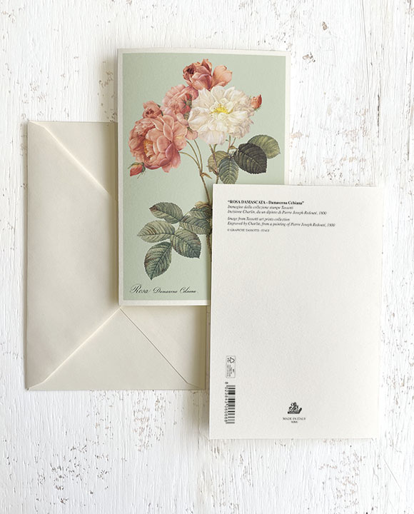 Card "Rosa Damascata - Damascena Celsiana"