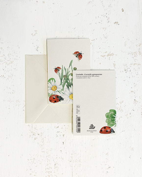 Card "Coccinelle"