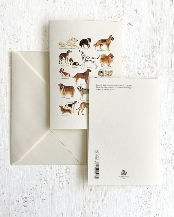Card "Cani"