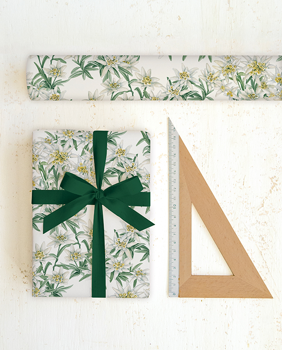 Papier "Stelle Alpine"