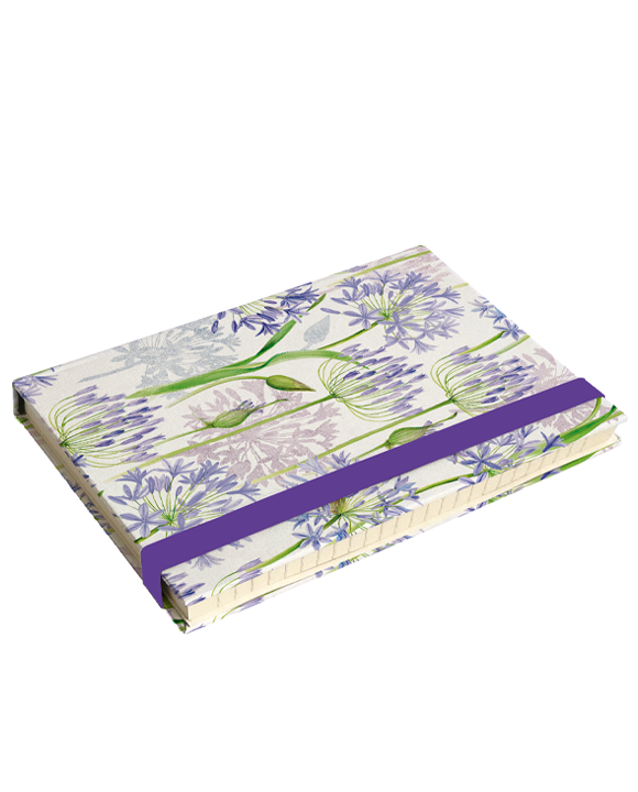 Diario "Agapanthus"