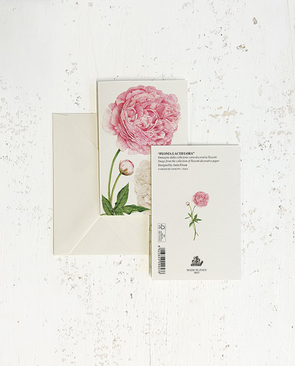 Card "Peonia Lactiflora"