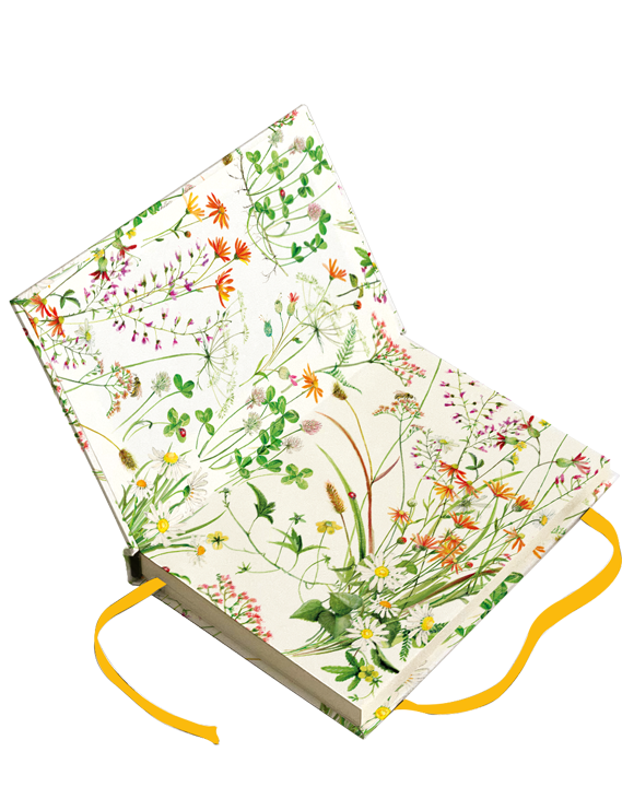 Livre A6 "Fiori spontanei"