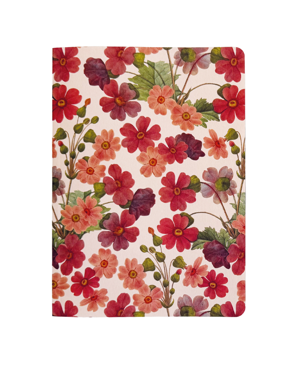 Set 2 Cahiers pages rayés brochés "Fantasia 1"