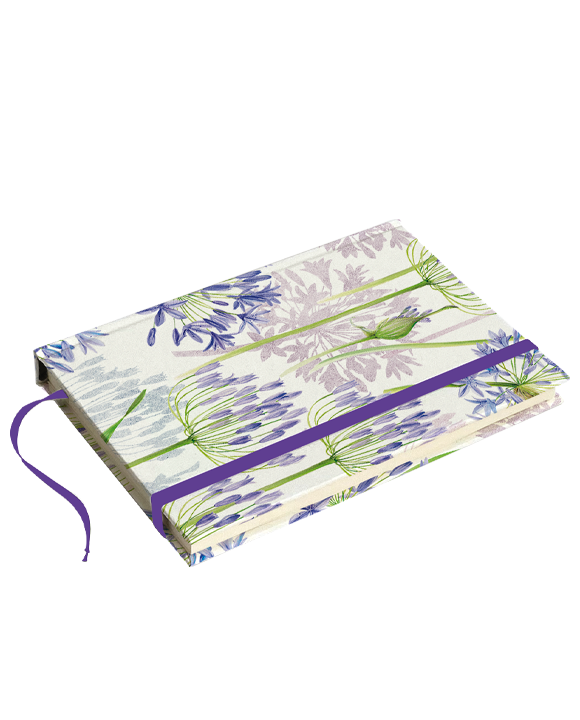 Livre A6 "Agapanthus"