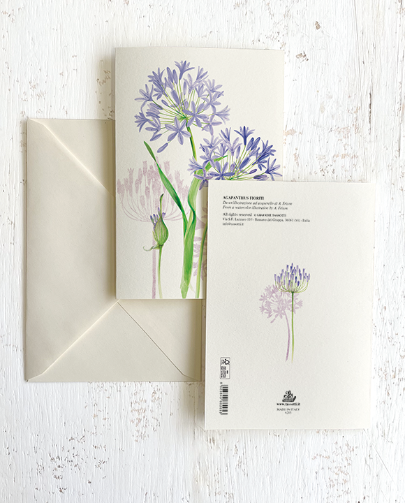 Card "Agapanthus fioriti"