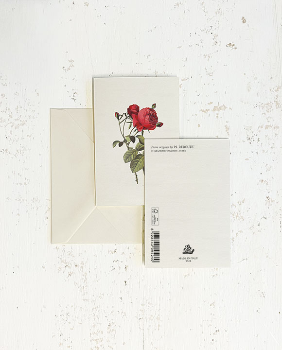 Card "Rosa pink perpétue"