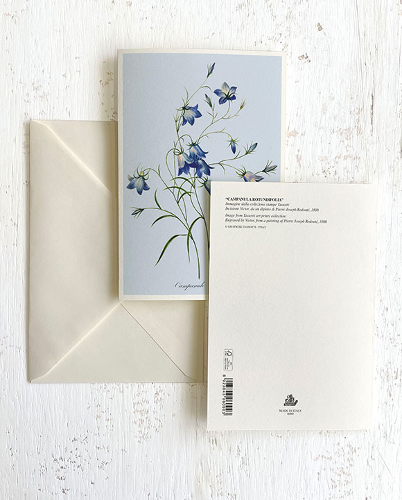 Tarjeta "Campanula rotundifolia"