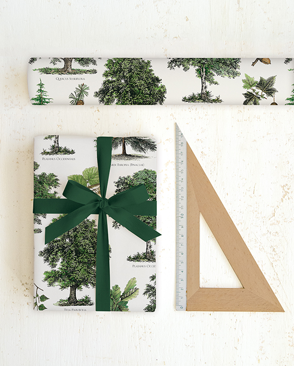Papier "Alberi"
