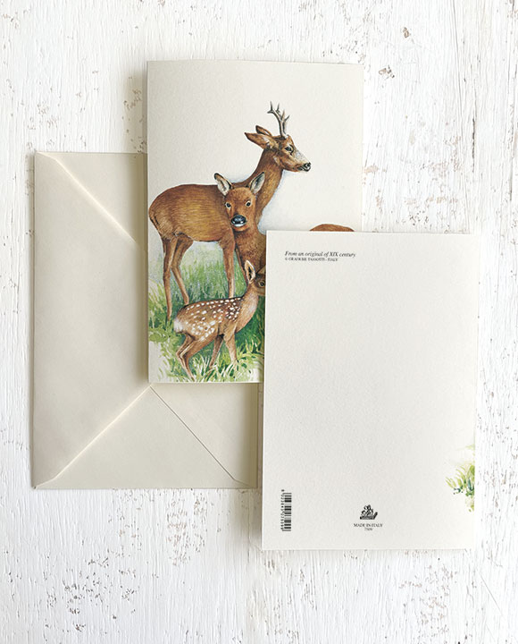 Card "Cerbiatti"