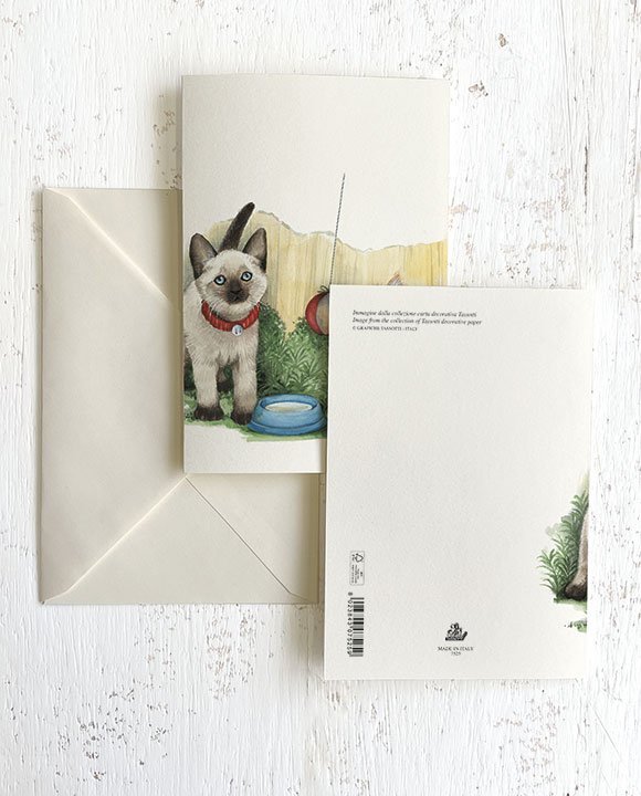 Card "Gattini bianchi"